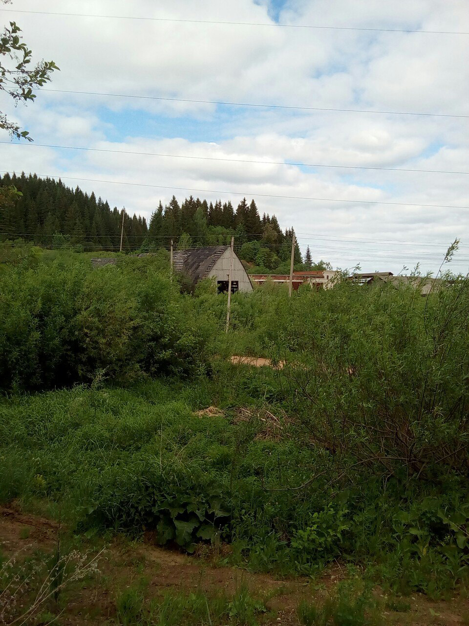 Профком свинокомплекса «Пермский» отменил митинг, запланированный на 14 июля