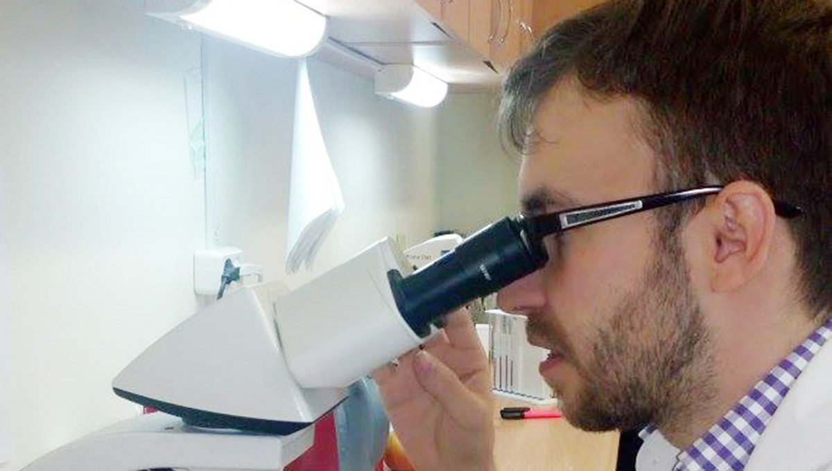 Это всё реально