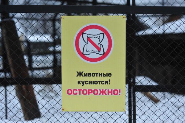 ФАС России признала жалобу «Спецстроя» на строительство пермского зоопарка необоснованной