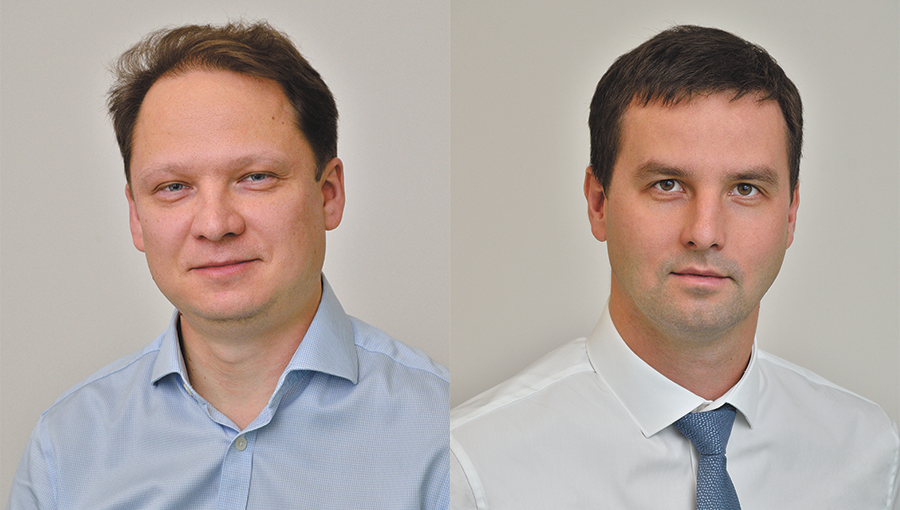 Желание оживать