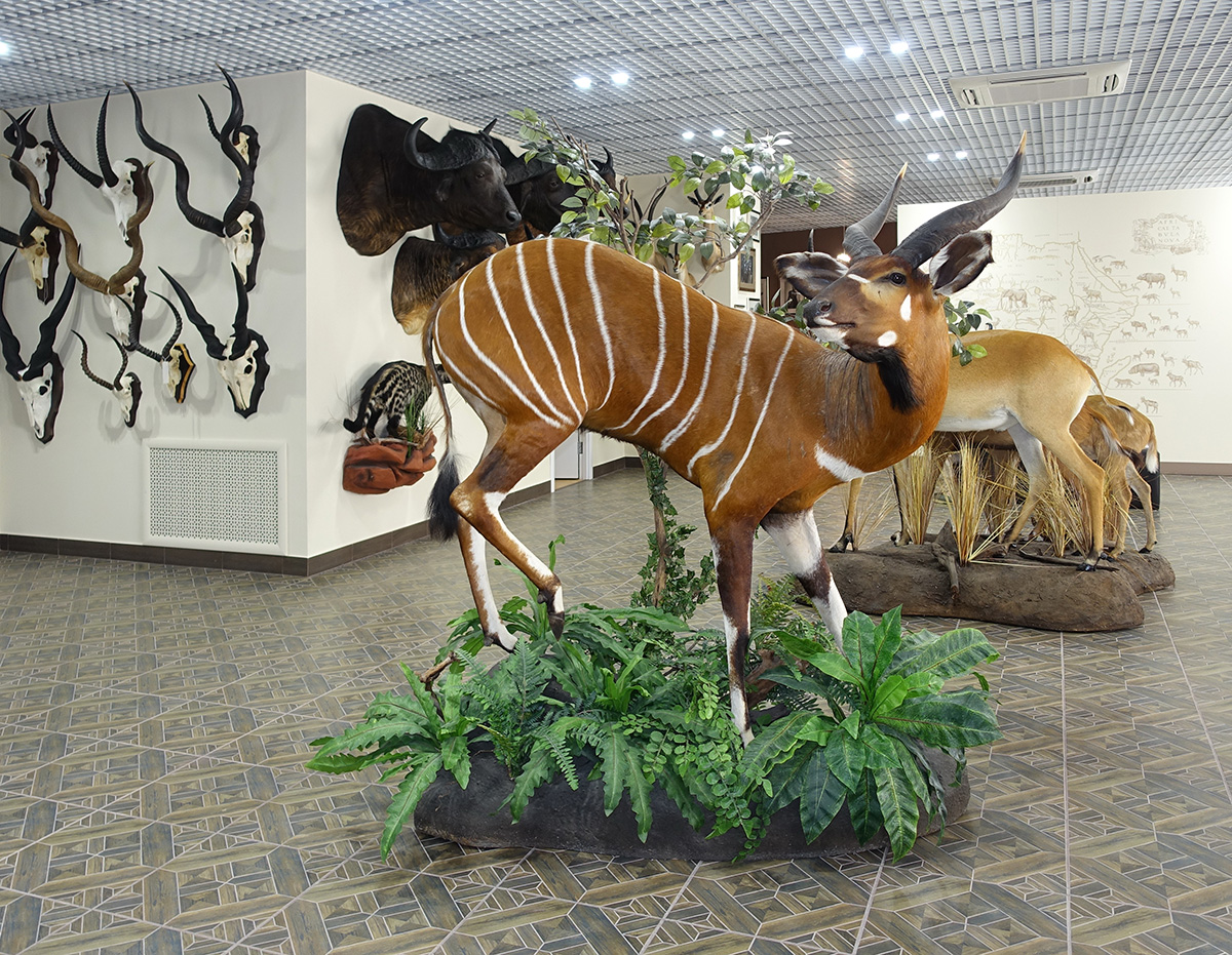 Редкие арт-явления