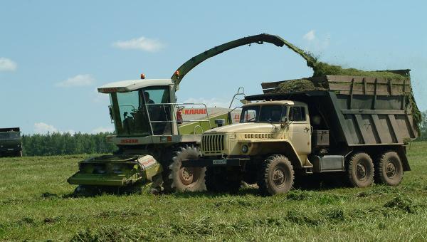 В 2021 году по программе «Агростартап» в Пермском крае фермерам выделят 47 млн руб.