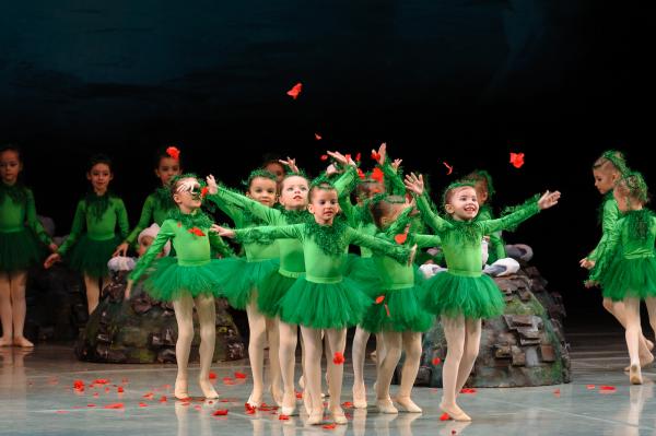 
Детский балет из Перми установил рекорд
