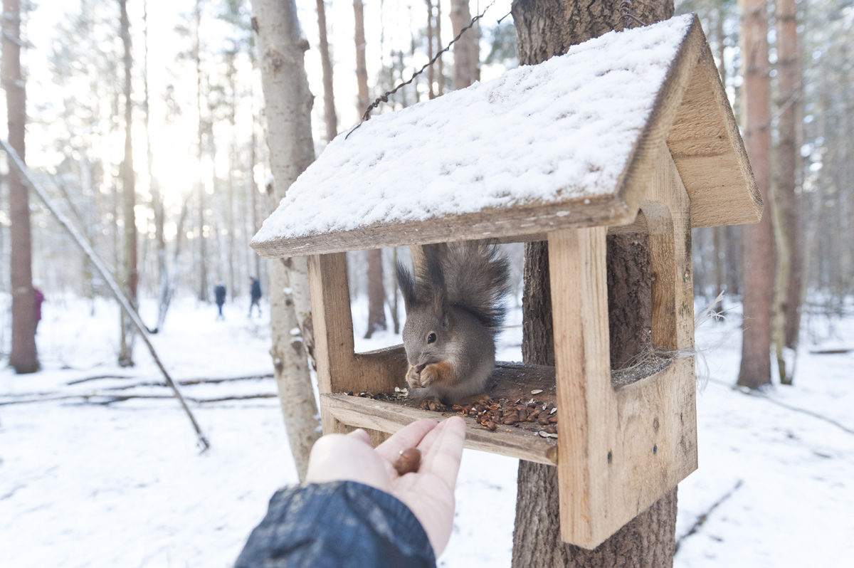 Число особо охраняемых природных территорий в Перми увеличится с 14 до 17