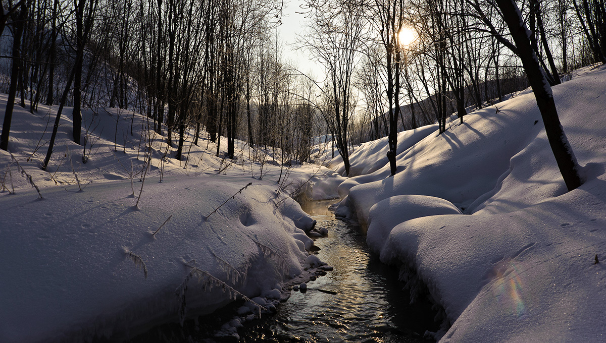 На берегу малой реки