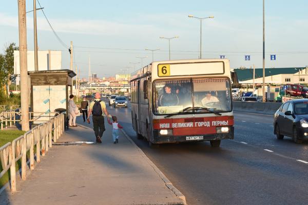 Пермское УФАС обвинило департамент дорог и транспорта в дискриминации перевозчиков