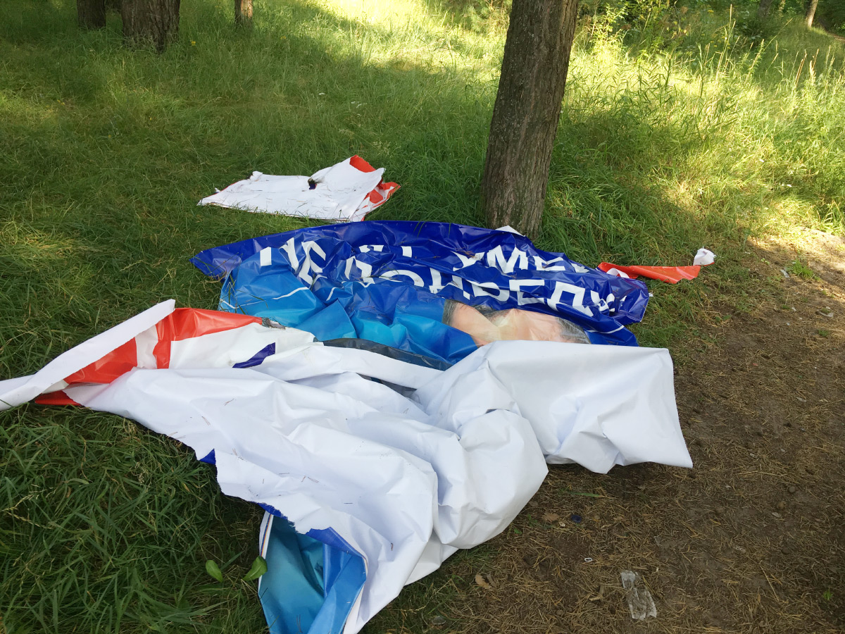 Там, где клон шумит