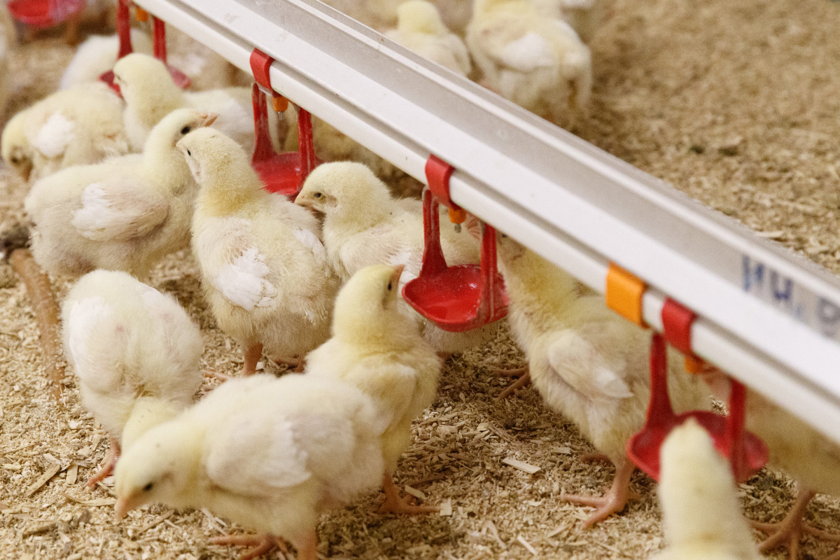 Пермский край привлечет дополнительные инвестиции ГК «ПРОДО»