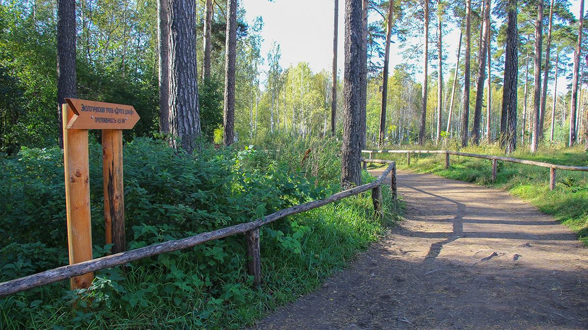 Мандаты в стиле эко