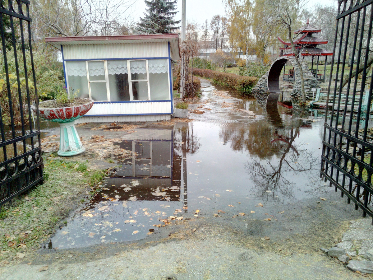 Минприроды: Если коллекция редких видов растений в ПГНИУ погибнет, восстанавливать её будут виновники аварии