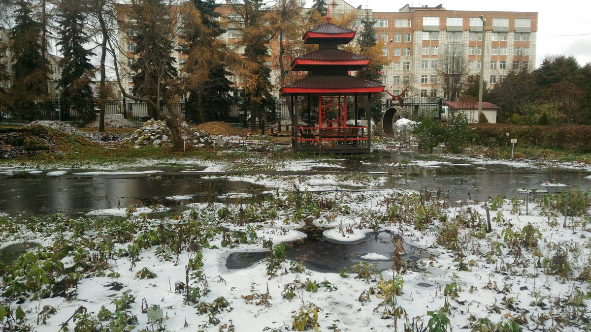 На территории Ботанического сада ПГНИУ продолжается ремонт водовода