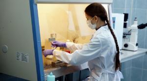 Учёные ПНИПУ создают лекарства при помощи ультразвука и лейкоцитов человека