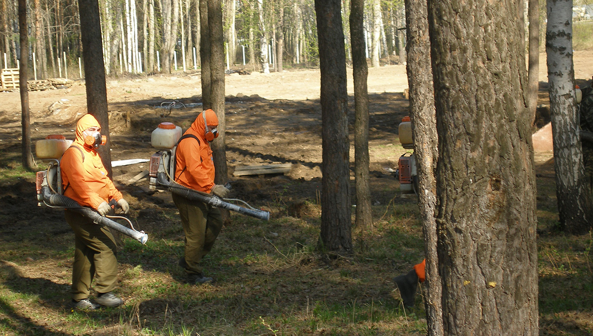 В городских лесах Перми стартовал первый этап противоклещевой обработки