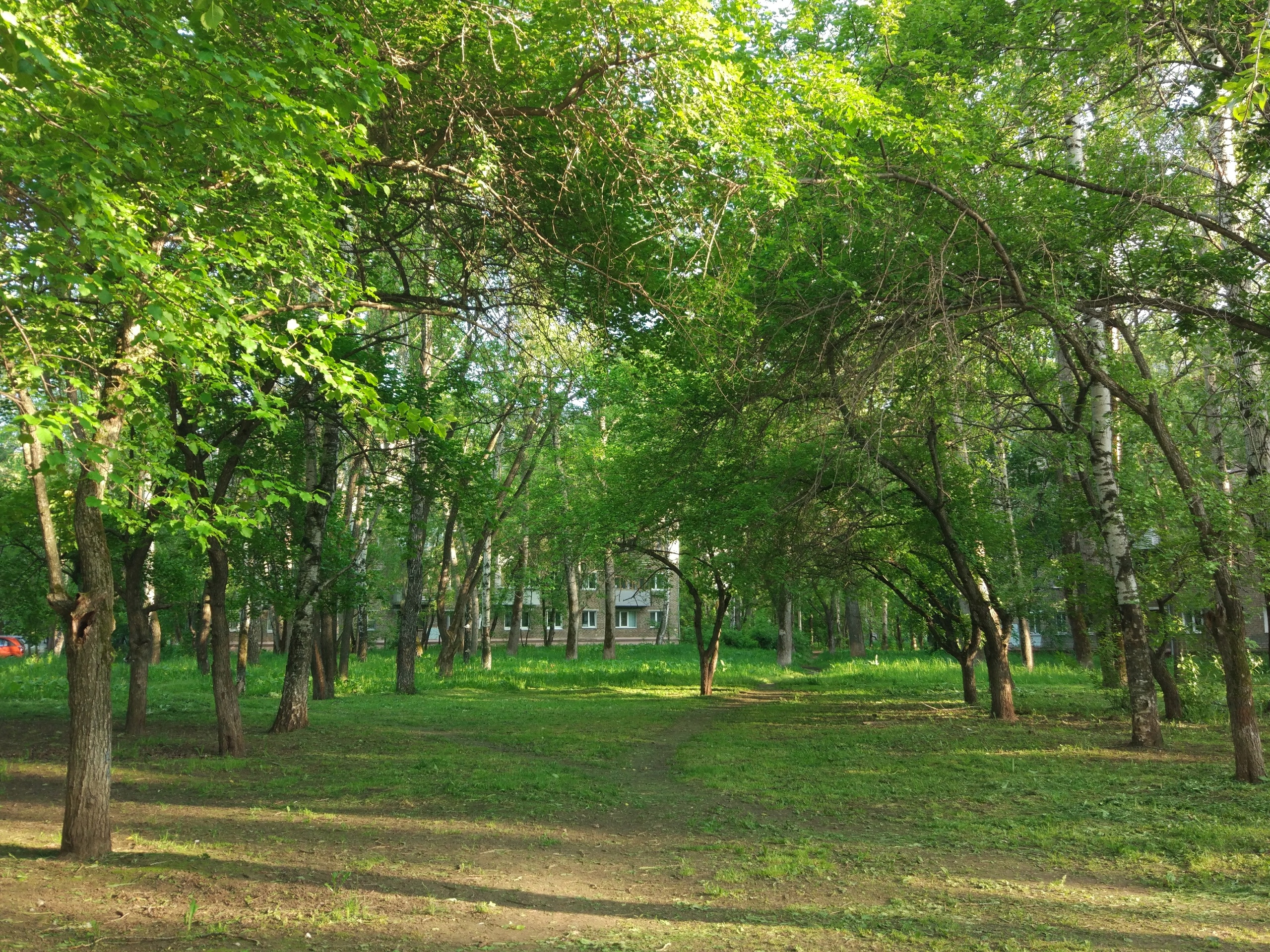 В Мотовилихе могут застроить один из крупнейших скверов города