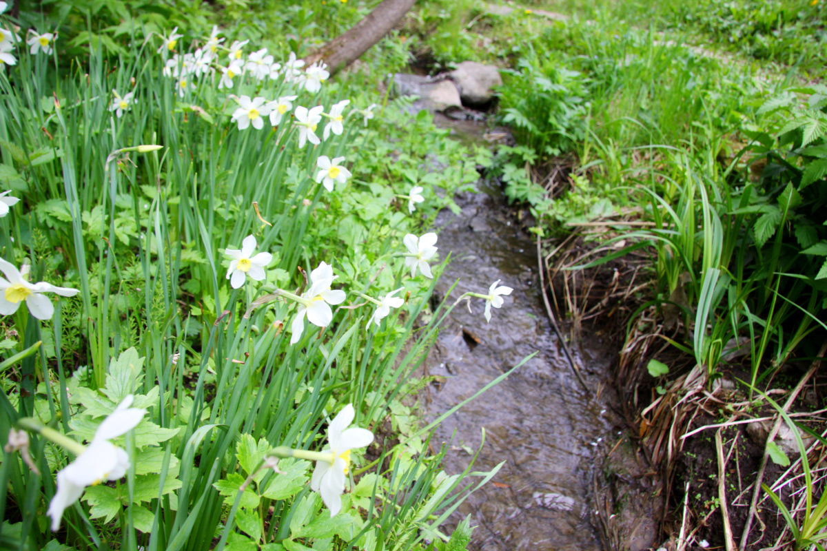 Пермь — город рек