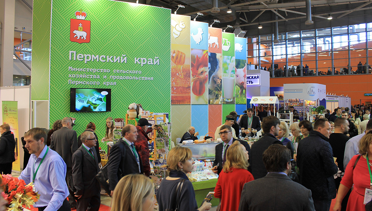 «Будущее за технологиями»