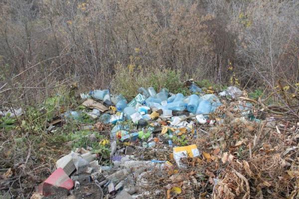 Прокуратура требует от строительной фирмы вывезти мусор, сваленный ею в логах Егошихи и Ивановки