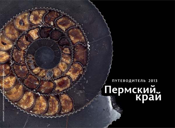 Настоящий проводник