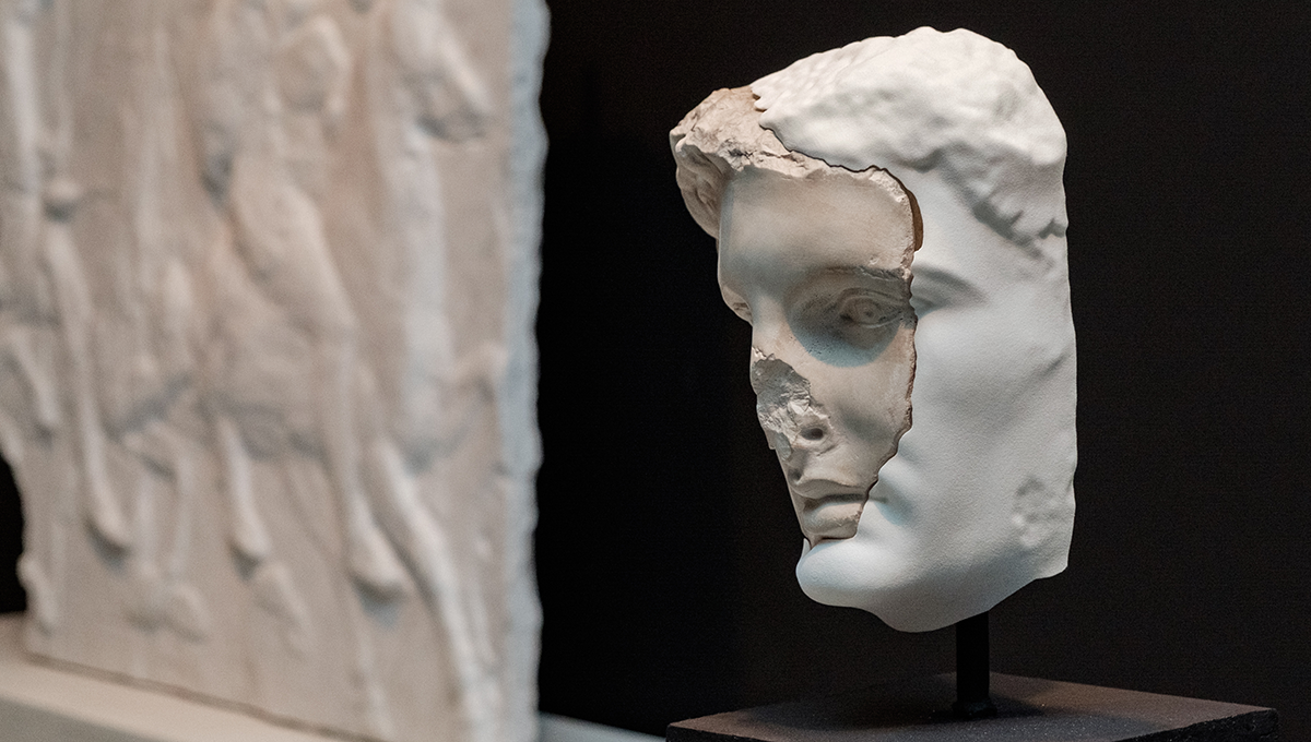 Новое понимание живого