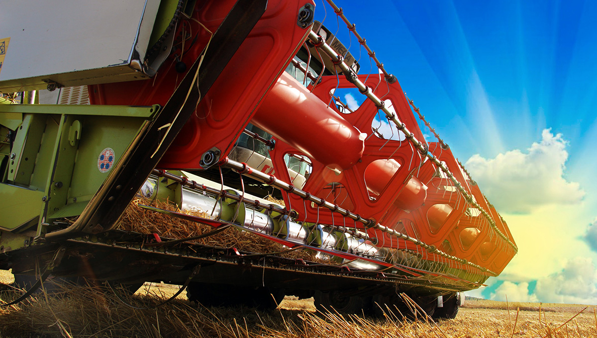 В Прикамье за год урожай зерновых вырос в 3,1 раза