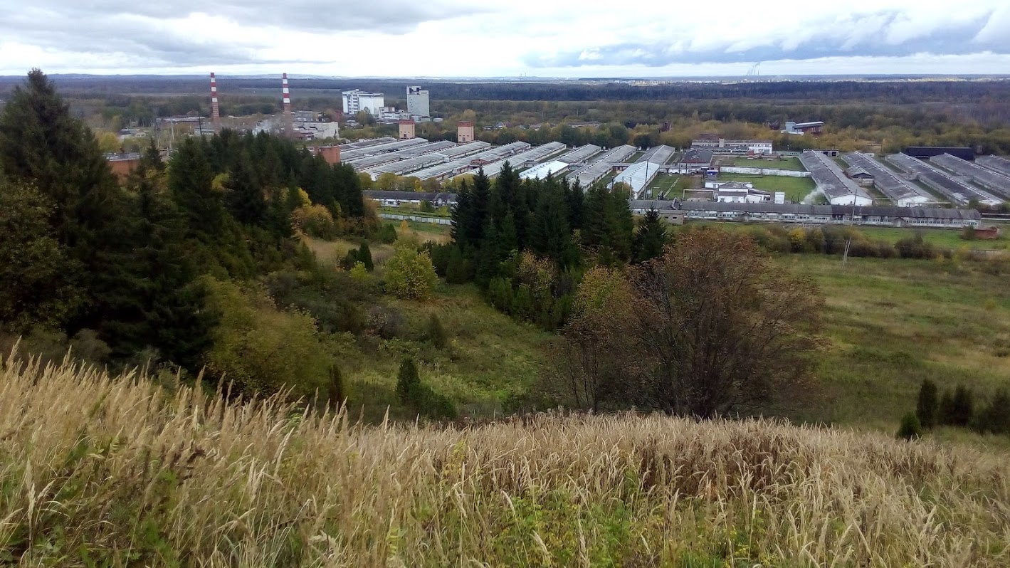 Краевые власти ищут пути решения проблем пермского свинокомплекса