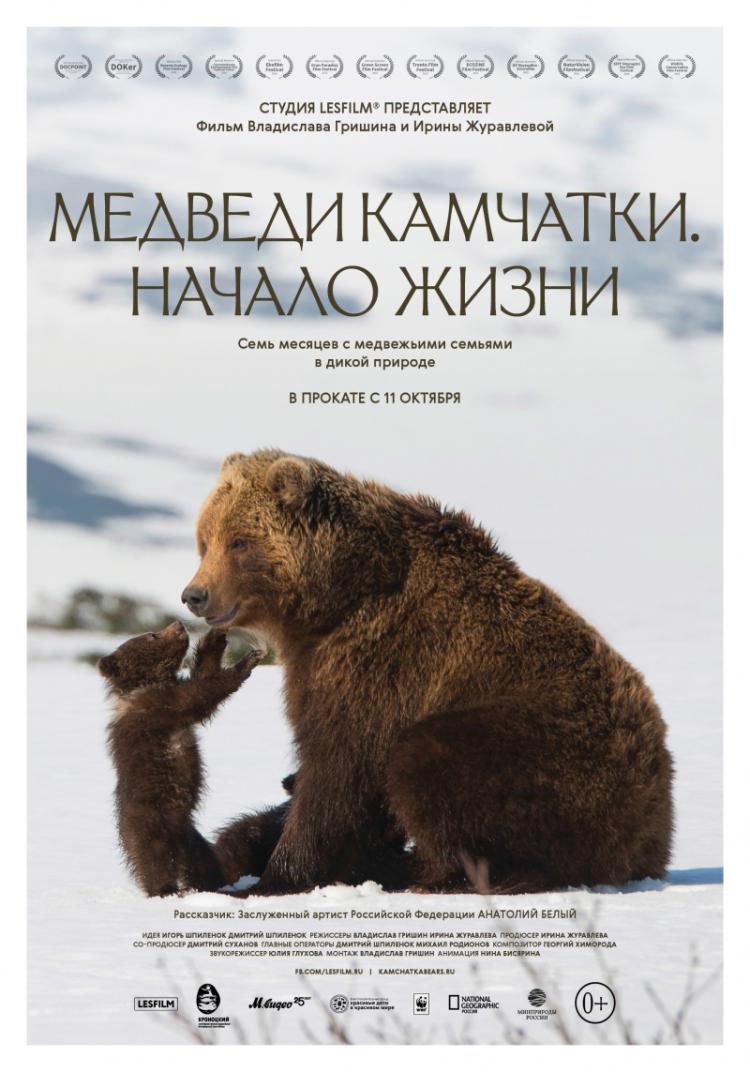 Медведи Камчатки постер