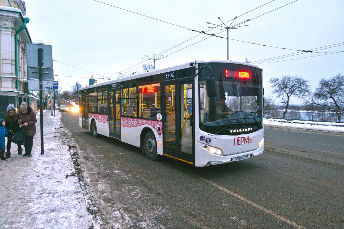 Новые автобусы зимой