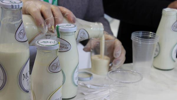 В Пермском крае снизилась доля выявляемого контрафакта молочной продукции