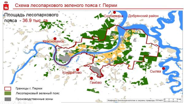 В Перми установят границы самого крупного в городах-миллионниках «зелёного пояса»