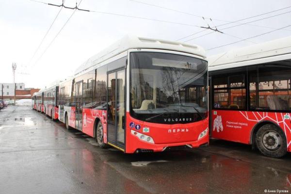 Людмила Гаджиева: Штрафы за недопоставленные автобусы перекроют издержки на аренду
