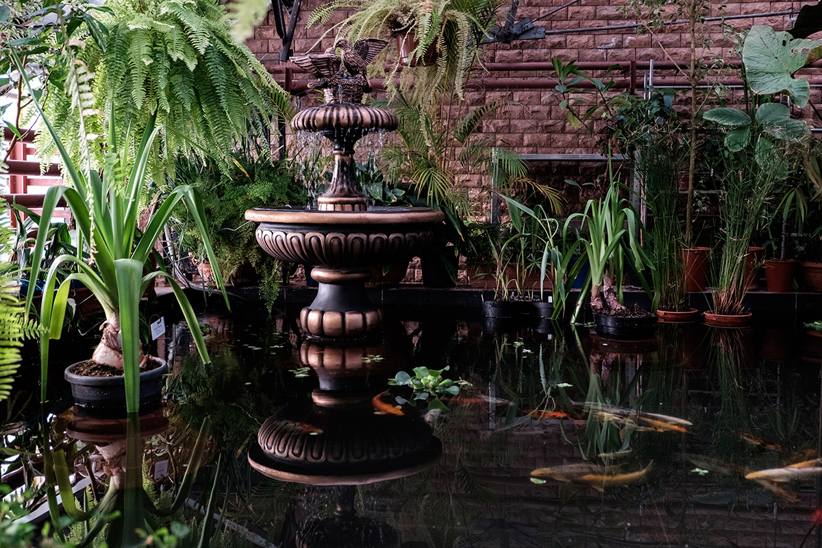 Под сенью «Пальмовой ветви»