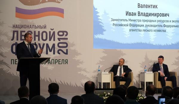 Глава Рослесхоза поддержал инициативы Пермского края по совершенствованию лесного законодательства