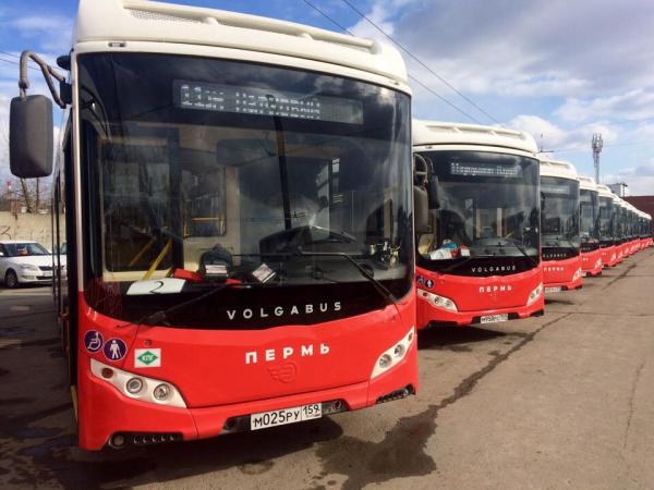 В Пермь прибыли 19 автобусов Volgabus для «Пермгорэлектротранса» 