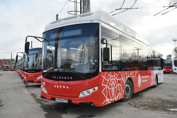 В Перми появятся 64 новых автобуса