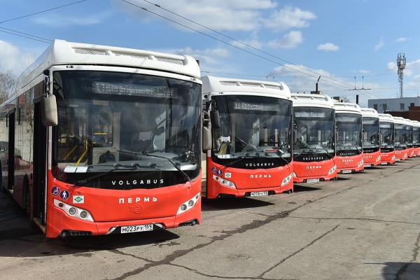 Определены победители конкурсов на обслуживание семи автобусных маршрутов Перми