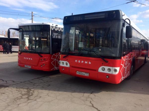Объявлен аукцион на два автобусных маршрута из Перми до Краснокамска