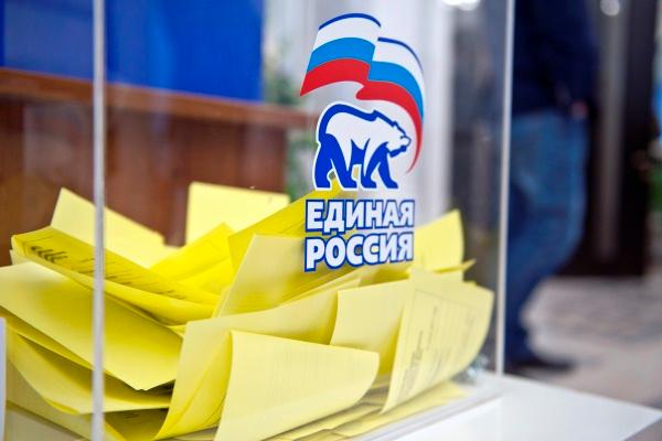 В муниципалитетах Прикамья проходит предварительное голосование партии «Единая Россия»