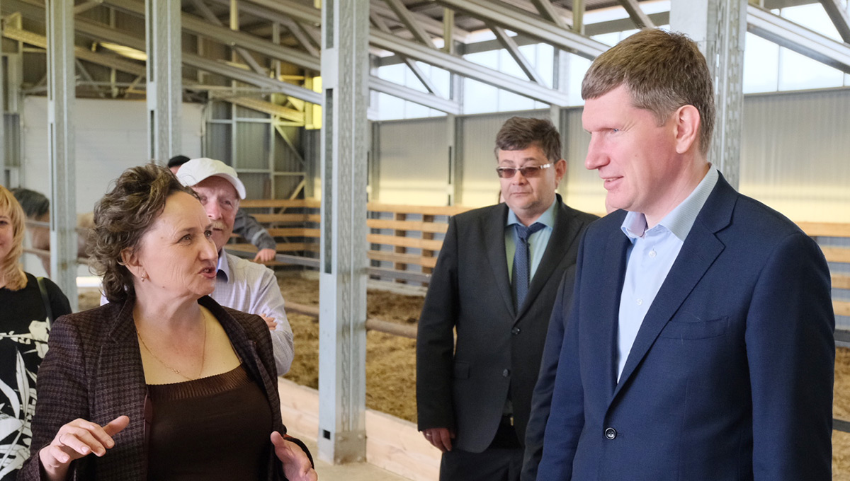 Взяли под село