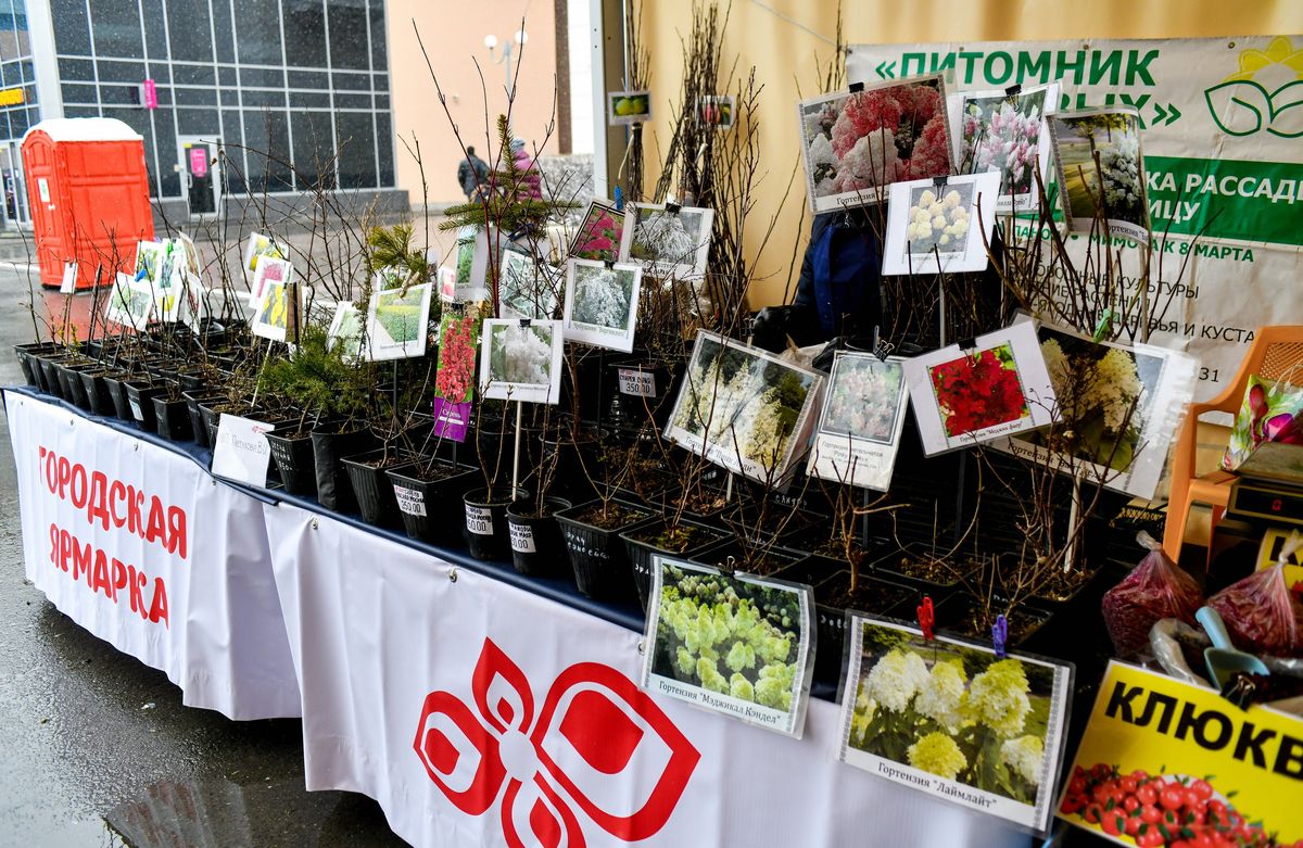 В Перми до конца года проведут ещё 72 городские ярмарки