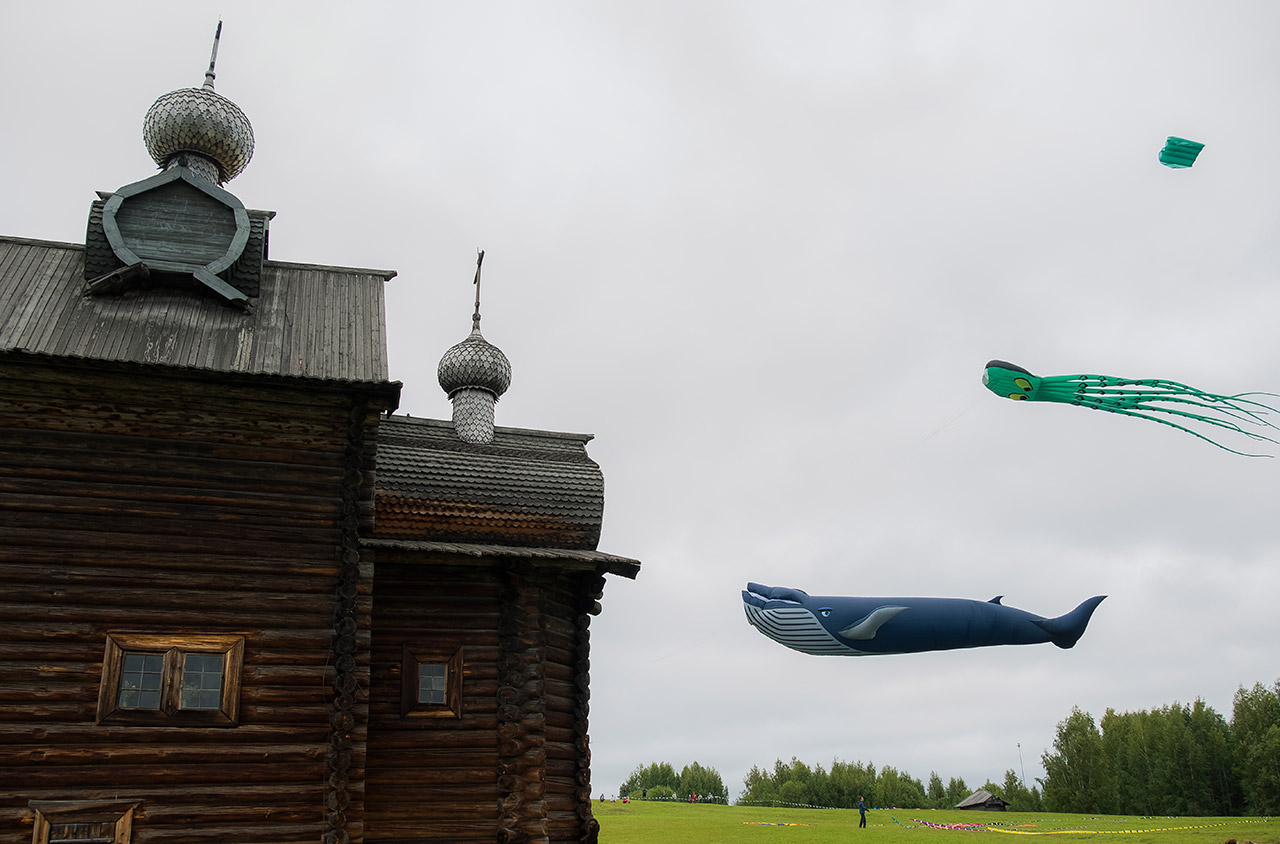 Дельфин и кит