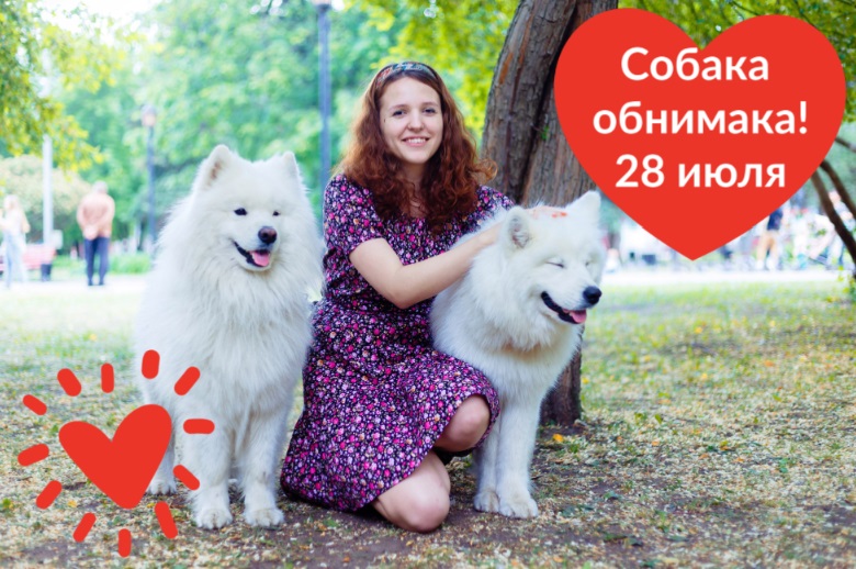 Жители Перми собрали около 100&nbsp;тыс&nbsp;руб. на&nbsp;бездомных животных