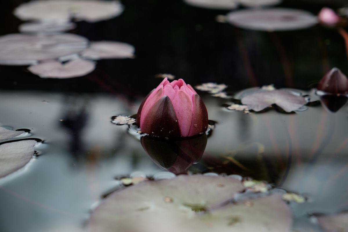 По чувствам