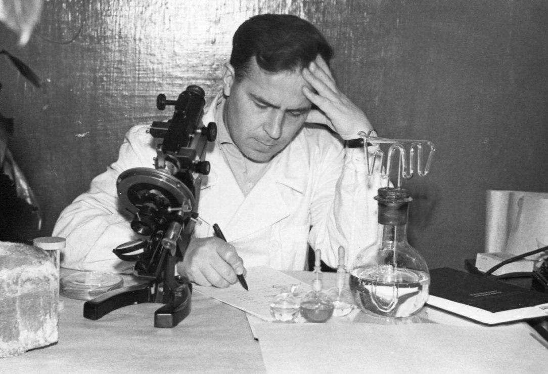 В Музее пермских древностей завтра откроется выставка о древних «живых» микроорганизмах