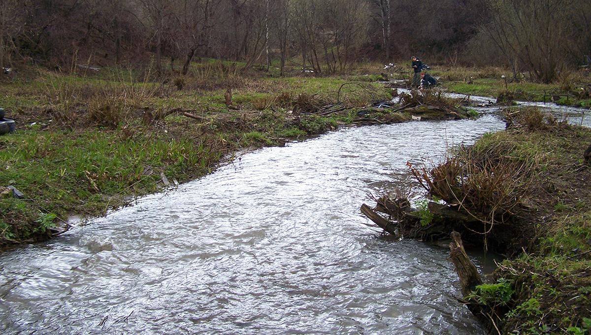 В долине реки Егошихи в Перми 9 мая произошёл пожар