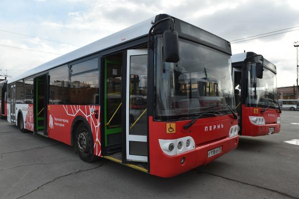 В ближайшие годы в Прикамье появятся 15 новых автобусных маршрутов