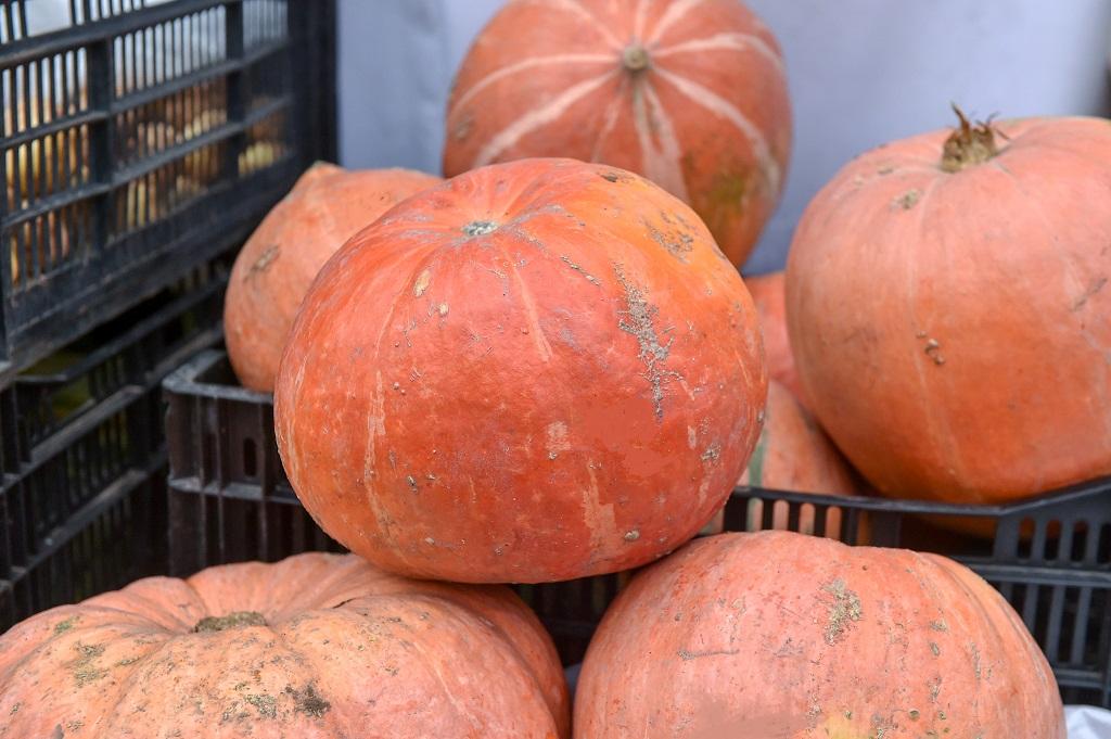В этом году в Прикамье пройдёт порядка 2 тыс. сельхозярмарок