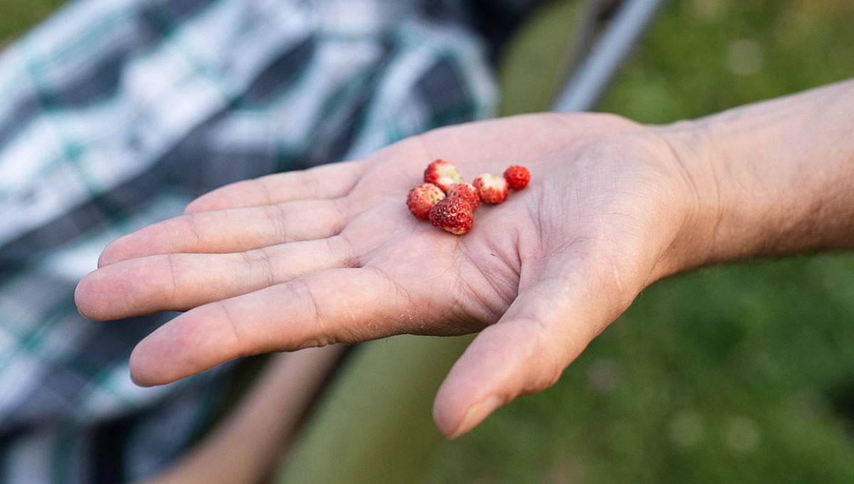 Коллекция счастливых мгновений