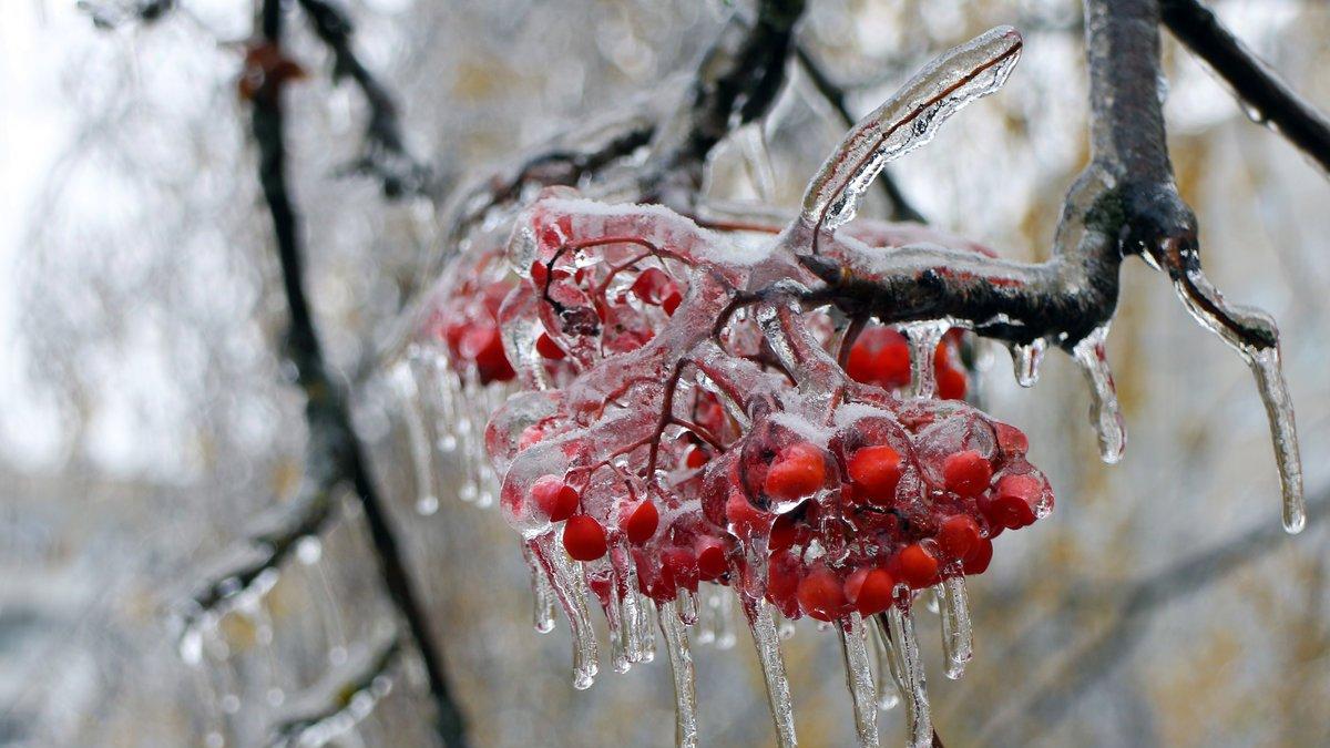 ​Синоптики рассказали, какой будет погода в Прикамье в выходные 