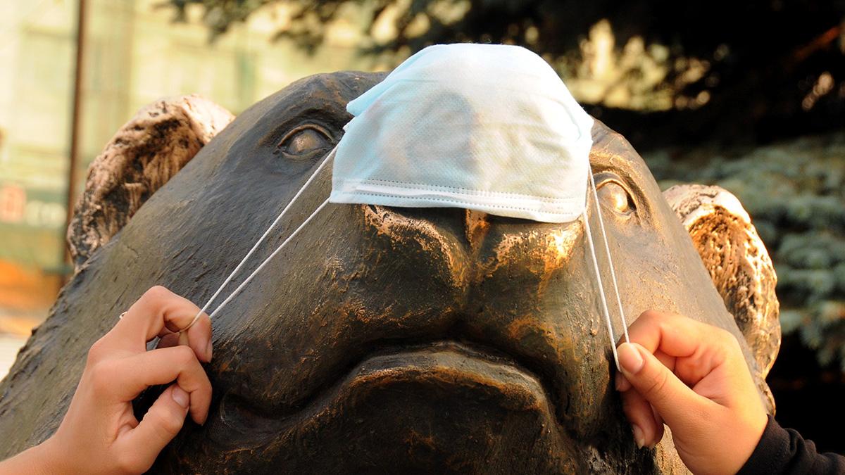 Минздрав Прикамья ищет в регионе новое помещение для изоляции граждан Китая