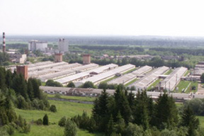 «Свинокомплекс Пермский» просит налоговую о рассрочке